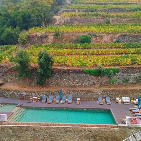 Quinta De Travassinhos- Douro Valley & Spa Santa Marta de Penaguião Eksteriør billede