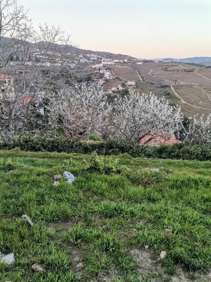 Quinta De Travassinhos- Douro Valley Santa Marta de Penaguião Eksteriør billede