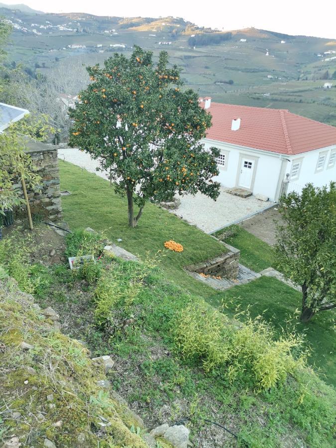 Quinta De Travassinhos- Douro Valley & Spa Santa Marta de Penaguião Eksteriør billede