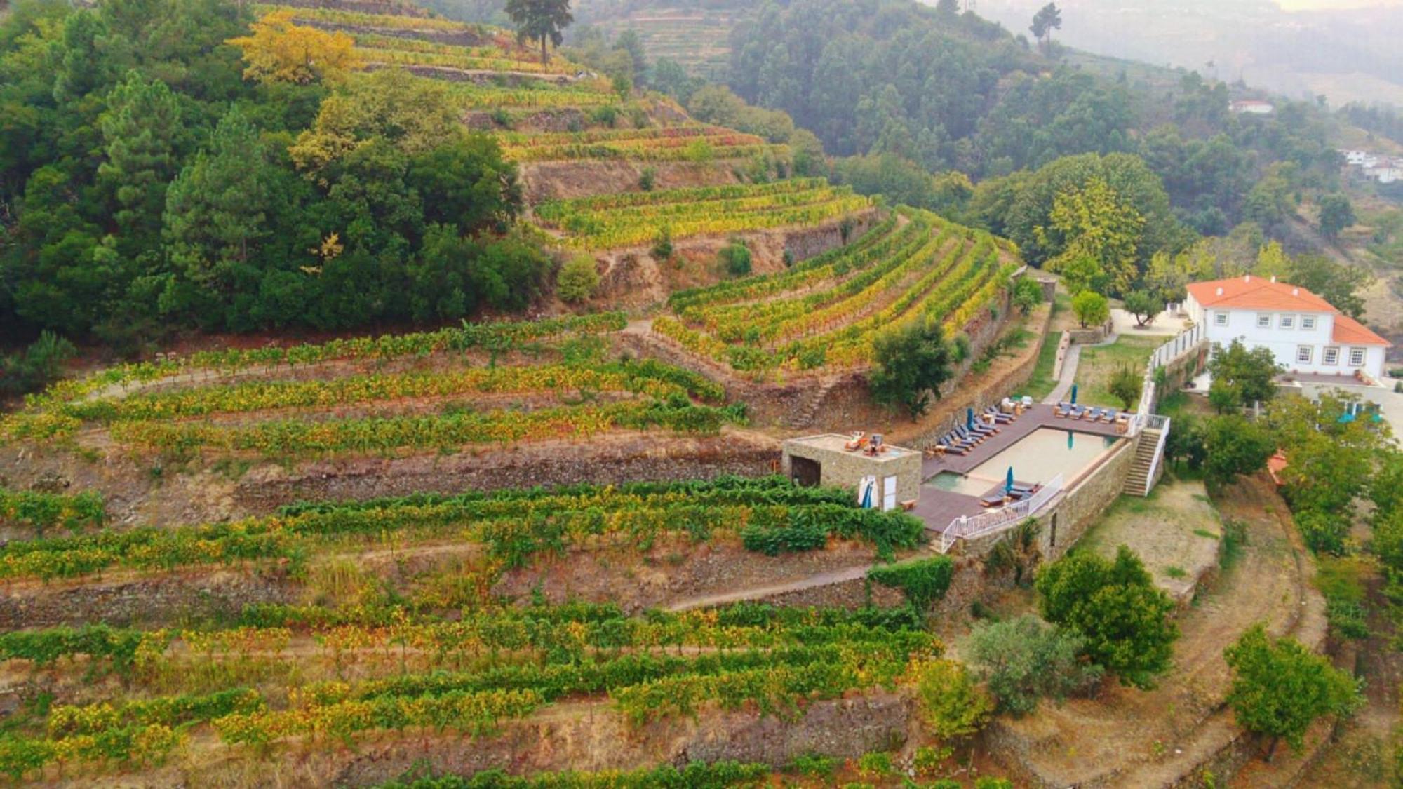 Quinta De Travassinhos- Douro Valley & Spa Santa Marta de Penaguião Eksteriør billede